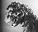 Godzilla 1954